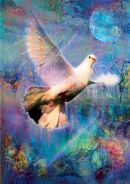 Equilibrium